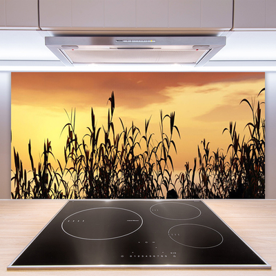 Kitchen Splashback Leaves floral black