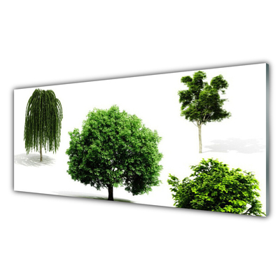 Kitchen Splashback Trees nature brown green