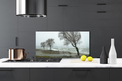 Kitchen Splashback Trees nature brown