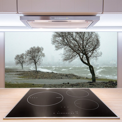 Kitchen Splashback Trees nature brown