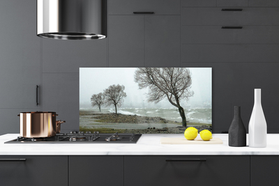 Kitchen Splashback Trees nature brown