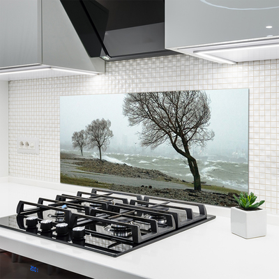 Kitchen Splashback Trees nature brown