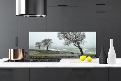 Kitchen Splashback Trees nature brown