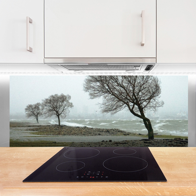 Kitchen Splashback Trees nature brown