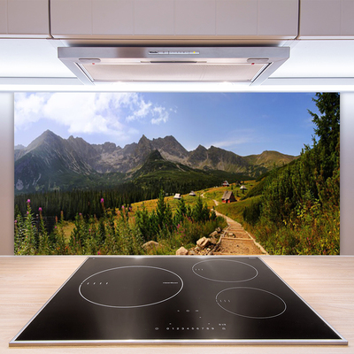 Kitchen Splashback Mountain forest nature grey green