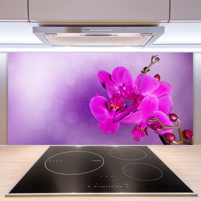 Kitchen Splashback Flowers floral pink