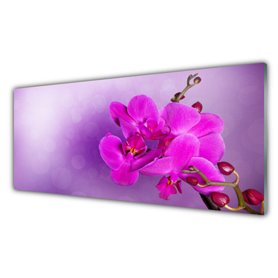 Kitchen Splashback Flowers floral pink