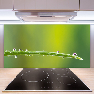 Kitchen Splashback Grass dew drops floral green