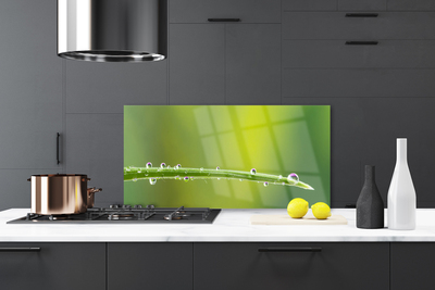 Kitchen Splashback Grass dew drops floral green