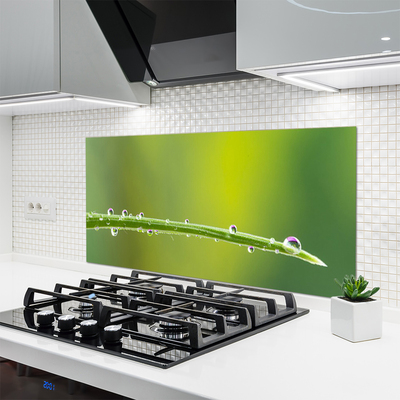 Kitchen Splashback Grass dew drops floral green