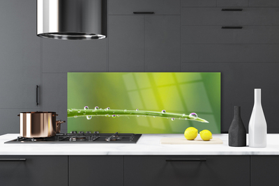 Kitchen Splashback Grass dew drops floral green