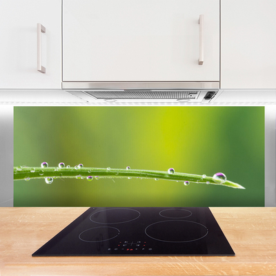 Kitchen Splashback Grass dew drops floral green