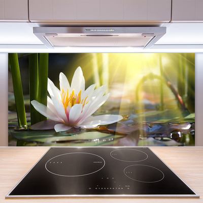 Kitchen Splashback Flowers water floral white green