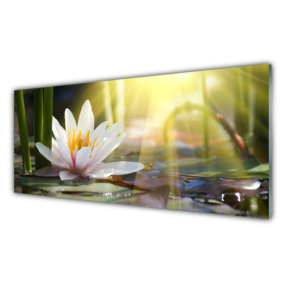 Kitchen Splashback Flowers water floral white green