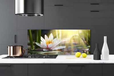 Kitchen Splashback Flowers water floral white green