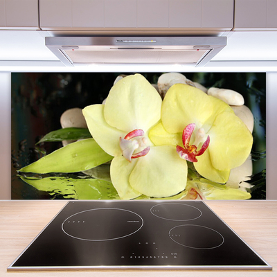 Kitchen Splashback Petal floral green