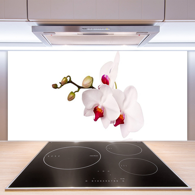 Kitchen Splashback Flowers floral pink white