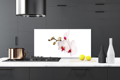 Kitchen Splashback Flowers floral pink white