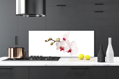 Kitchen Splashback Flowers floral pink white