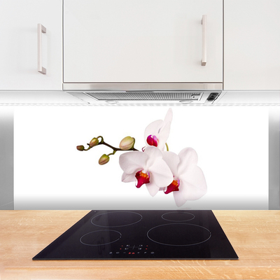 Kitchen Splashback Flowers floral pink white