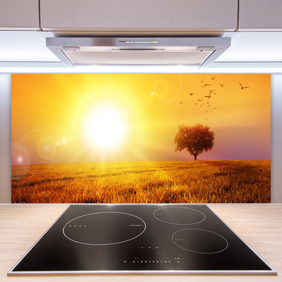 Kitchen Splashback Sun meadow landscape yellow brown