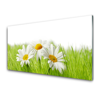 Kitchen Splashback Grass daisies floral white green