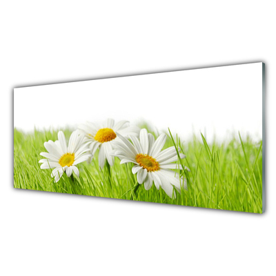 Kitchen Splashback Grass daisies floral white green