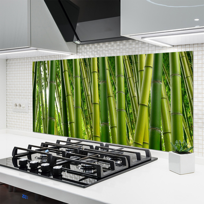 Kitchen Splashback Bamboo stalks floral green