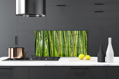 Kitchen Splashback Bamboo stalks floral green