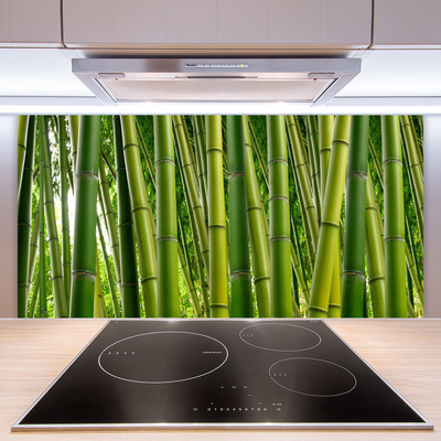 Kitchen Splashback Bamboo stalks floral green