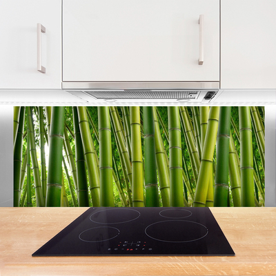 Kitchen Splashback Bamboo stalks floral green