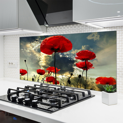 Kitchen Splashback Poppies floral red