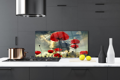 Kitchen Splashback Poppies floral red