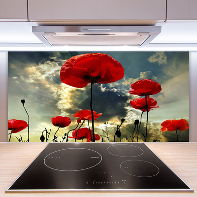 Kitchen Splashback Poppies floral red