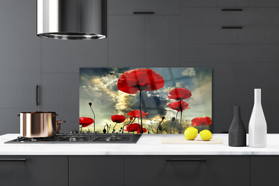 Kitchen Splashback Poppies floral red