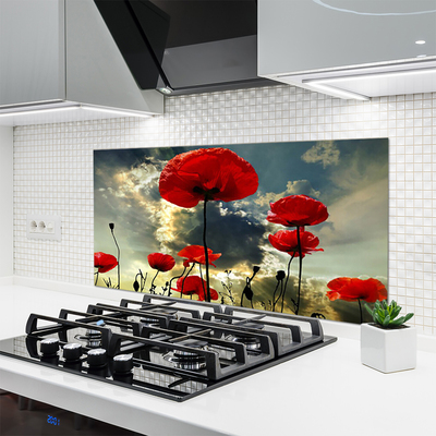 Kitchen Splashback Poppies floral red