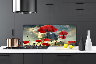 Kitchen Splashback Poppies floral red