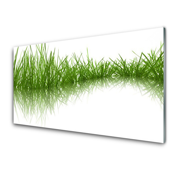 Kitchen Splashback Grass nature green