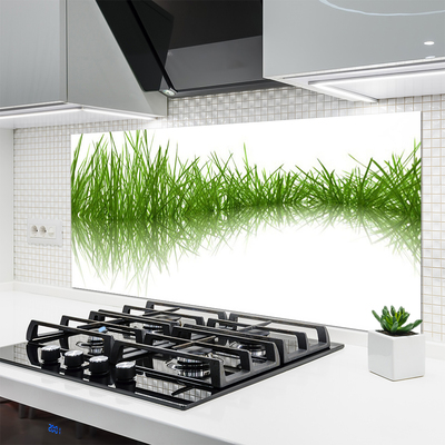 Kitchen Splashback Grass nature green