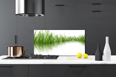 Kitchen Splashback Grass nature green