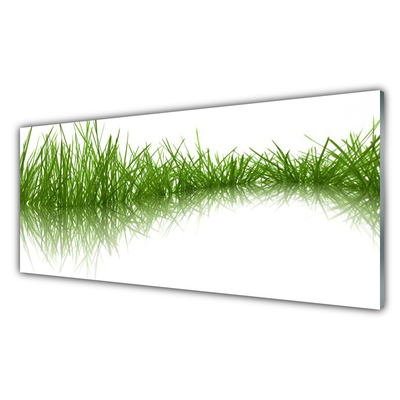 Kitchen Splashback Grass nature green