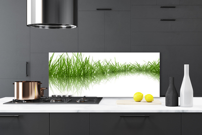 Kitchen Splashback Grass nature green