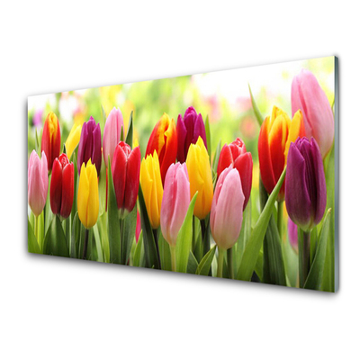 Kitchen Splashback Tulips floral pink red yellow