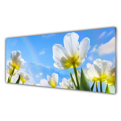 Kitchen Splashback Flowers floral white green