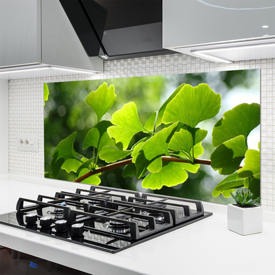 Kitchen Splashback Branch leaves floral brown green