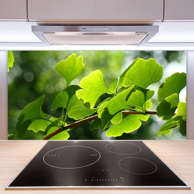 Kitchen Splashback Branch leaves floral brown green