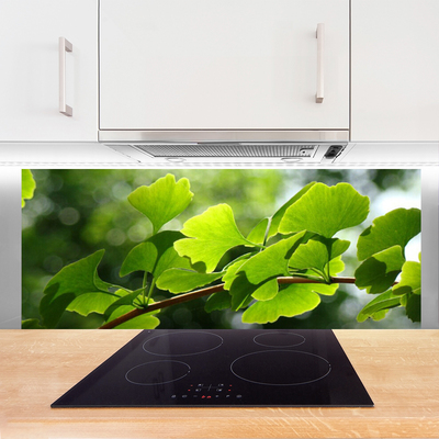 Kitchen Splashback Branch leaves floral brown green