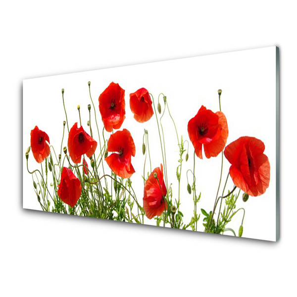 Kitchen Splashback Poppies floral green red