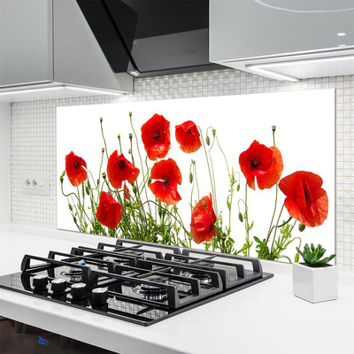 Kitchen Splashback Poppies floral green red