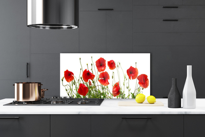 Kitchen Splashback Poppies floral green red